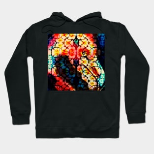 frangiflamingo Hoodie